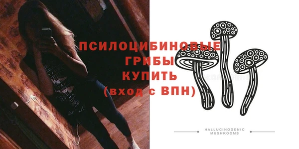 гашик Новокубанск