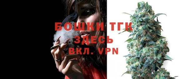 сатива Нягань