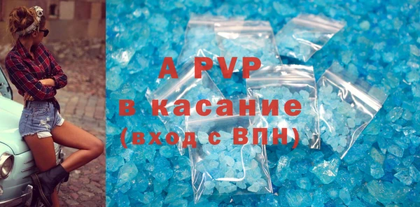 ешки Новозыбков
