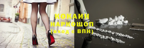 ешки Новозыбков