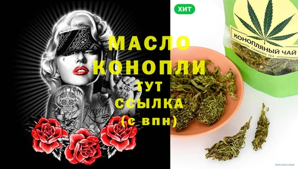 спиды Новодвинск