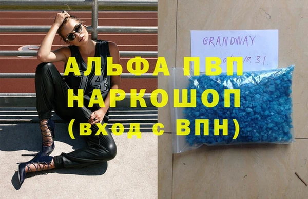 гашик Новокубанск