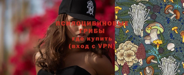 спиды Новодвинск