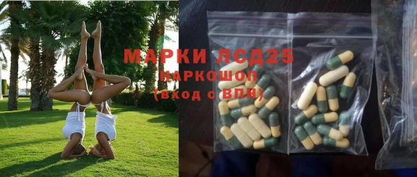 спиды Новодвинск