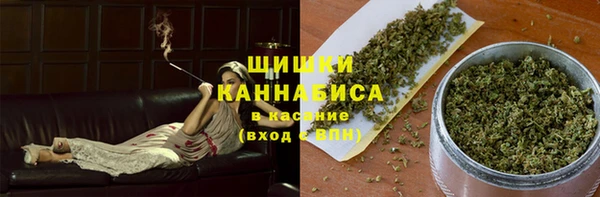 сатива Нягань