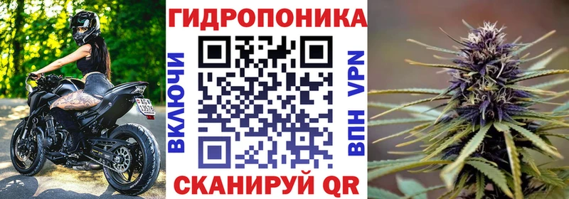 Купить где Приморско-Ахтарск Бошки марихуана сатива
